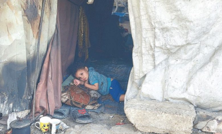 Gaza, Palestine, WHO, Israel, ceasefire, humanitarian, deaths