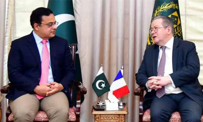 Pakistan-France cooperation, economic development, climate resilience