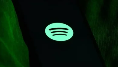 Pakistani music ban, Spotify India,