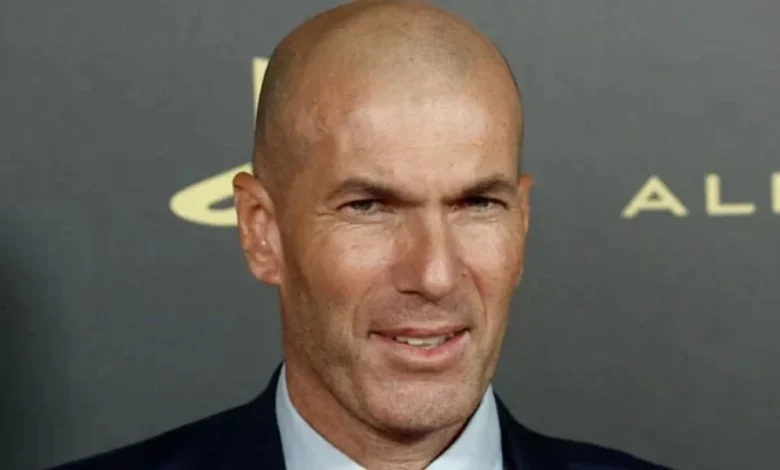 Zinedine Zidane, French national team,