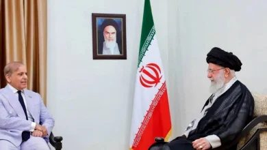 diplomacy, peace, cooperation,