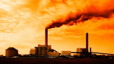 oil, discovery, Wafra, Kuwait, Saudi,