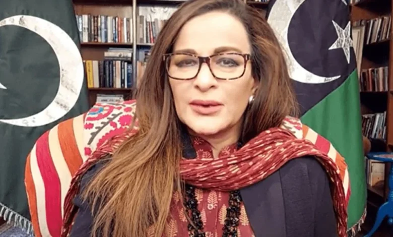 Pakistan-India relations, diplomatic delegation, regional stability