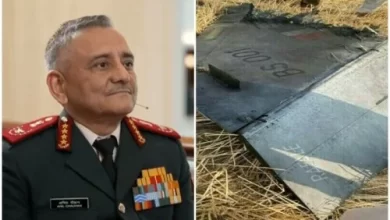 Indian jets downed, Pakistan Air Force, Anil Chauhan