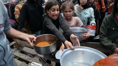 Humanitarian, Gaza, Protest