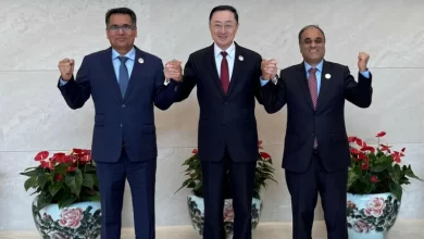 Cooperation, Trilateral, SouthAsia