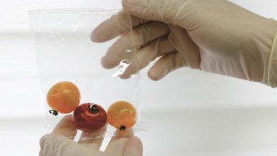 Plastic, Ocean, Pollution