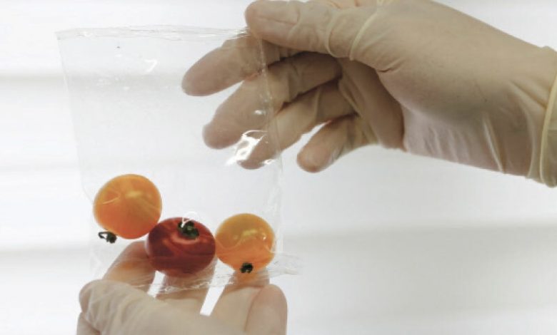 Plastic, Ocean, Pollution