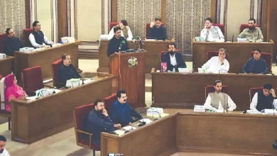 Budget, Development, Surplus