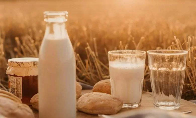 Dairy, Economy, Nutrition