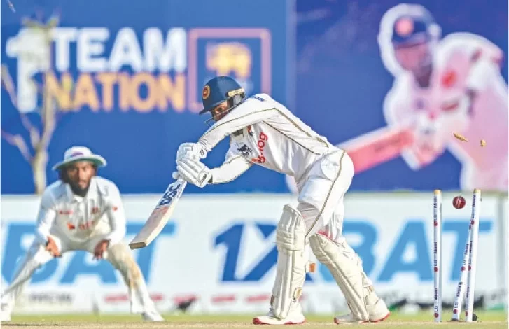 Cricket, TestMatch, Performance