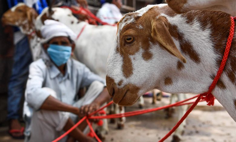 Sacrifice, Tradition, Harmony