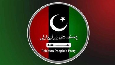 PPP, Budget 2025-26, Salary Increase, Pension Raise, Minimum Wage