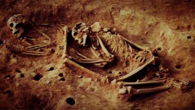 AncientDNA, Archaeology, HumanHistory