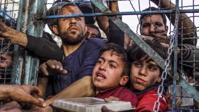 Gaza, Activists, Humanitarian