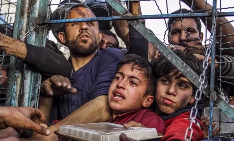 Gaza, Activists, Humanitarian