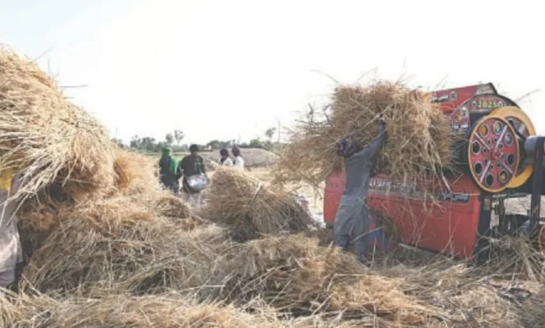 precision agriculture, climate resilience, Pakistan agriculture