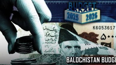 Sustainable, Development, Budget