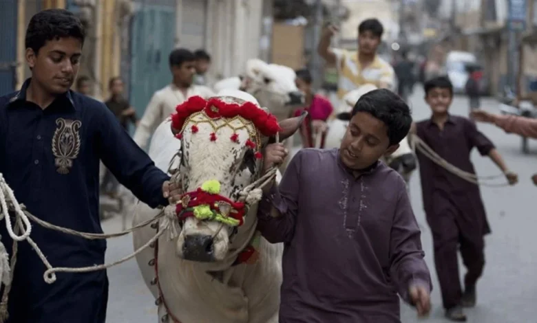 Eidul Azha holidays, public holiday Pakistan, moon sighting committee