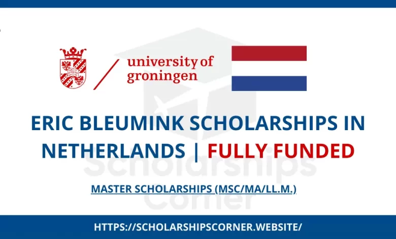 Scholarship, Masters, Netherlands