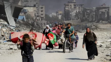 Palestine, Kashmir, Diplomacy