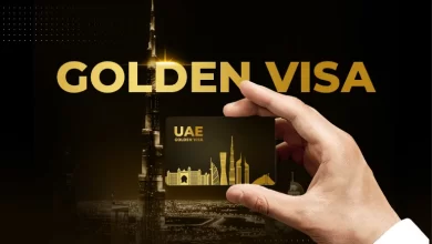 TaxEvasion, GoldenVisa, OffshoreAssets