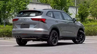 SUV, Automotive, Growth
