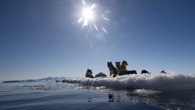 Climate, Greenland, IceA