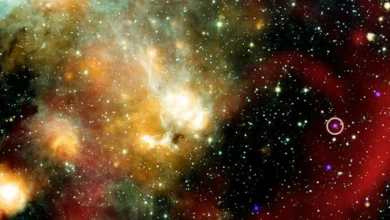 star, radio waves, X-rays, astronomy, mystery