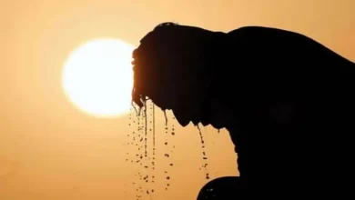 Heatwave, HeatSafety, HeatAlert