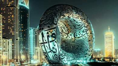 UAE internship, Al Qasimi Foundation, international opportunity