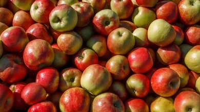 Apple, Nutrition, Health