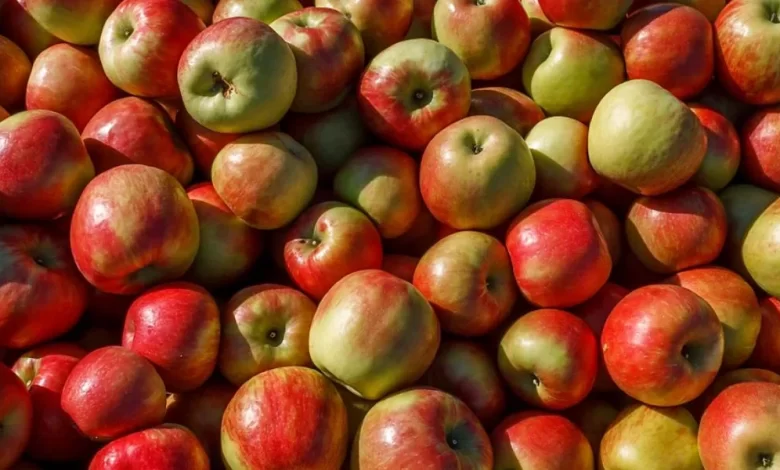 Apple, Nutrition, Health