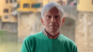 Cricket, Tribute, Spinner