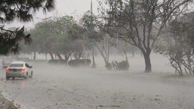 Weather, Rainfall, Forecast