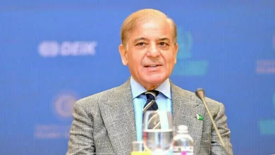 Indus River, Climate Policy, Land Restoration