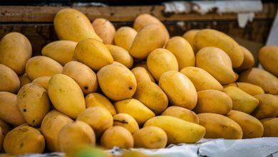 Mangoes, Ripening, Health