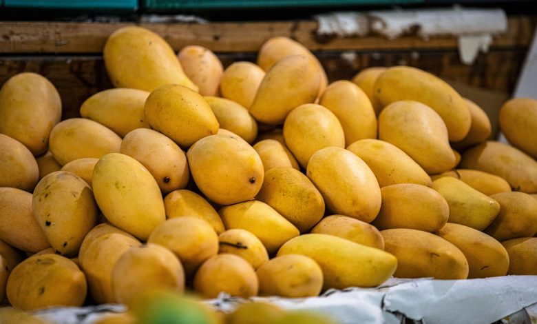 Mangoes, Ripening, Health
