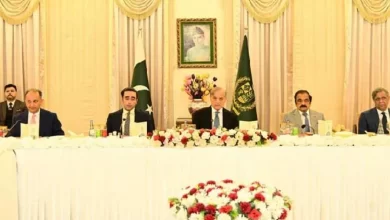 Diplomacy, Bilawal, Shehbaz