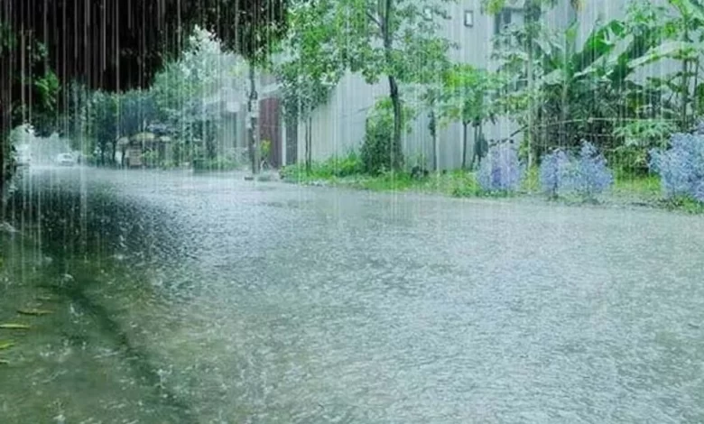 Rainfall, Floods, WeatherAlert