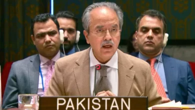 Gaza ceasefire, UN Security Council, Pakistan stance