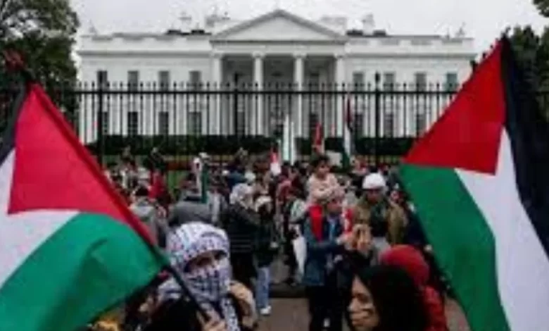 protest, Trump, Iran,