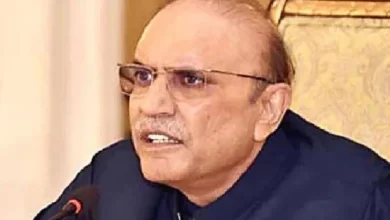 Dialogue, Stability, Diplomacy